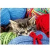 Image de Puzzle 100 pièces : Chaton dans la laine
