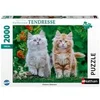 Image de - Puzzle 2000 pieces - Chatons Sibériens -des 14 ans - Puzzle de qualité supérieure - Collection Tendresse - 12001868