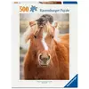 Image de Puzzle 500 Pieces - Le Petit Cavalier