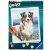 Image de - CreArt 24x30 cm - Adulte - Peinture par numéros - Berger Australien - Loisir créatif - 12023114
