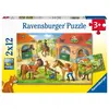 Image de Puzzles 2 X12 Pieces    Vacances Au Centre Equestre
