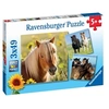 Image de Puzzles 3x49 p Adorables poneys