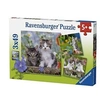 Image de Puzzles 3 x 49 pièces Alpexe Chatons tigrés