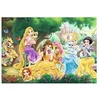 Image de Puzzle 24 Pièces : 2 Puzzles - Disney Palace Pets,