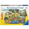 Image de Puzzle Animaux Sauvages/Du Zoo/Domestiques 3 x 49 pièces