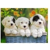 Image de Puzzle - Chiots câlins, 200 pièces XXL