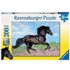 Image de Puzzle 200 pièces XXL Etalon Noir