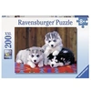 Image de Puzzle 200 pièces XXL Mignons Huskies