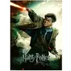 Image de Puzzle de 100 pièces XXL Le monde fantastique d'Harry Potter Ravensburger Vert 335x231x37 mm 00.012.869
