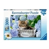 Image de Puzzle 300 p XXL - Petit chaton