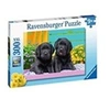 Image de - Puzzle 300 pièces XXL - Labradors noirs
