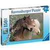 Image de Puzzle 150 pièces XXL Magnifiques chevaux