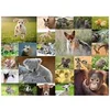 Image de Puzzle 200 pièces XXL : Adorables bébés animaux
