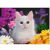 Image de Puzzle de 100 pièces XXL Chat à paillettes Collection Paillettes Ravensburger Rose TU 13358