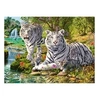 Image de Puzzle 500 piècesnsburger Famille de tigres blancs