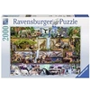 Image de Puzzle 2000 pièces Magnifique monde animal Aimee Stewart