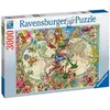Image de Puzzle Carte de la flore et de la faune 3000 pièces
