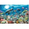 Image de Puzzle 5 000 pièces Monde marin Ravensburger Bleu 433x301x74 mm 00.017.426
