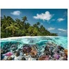 Image de Puzzle 2000 pièces : Une plongée aux Maldives
