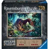 Image de Escape Puzzle - Dans La Grotte Du Dragon