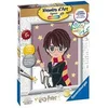 Image de Numero d art lignes colorees Harry Potter, petit modele