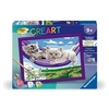 Image de CreArt Kids 18x24cm Chatons dans le hamac, Kit de peinture par numéros Numéro d'Art, Des 9 ans, 25828,