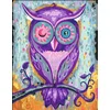 Image de Creart - Peinture Par Numero - 24 X 30 Cm - Hibou