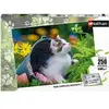 Image de Puzzle enfant Petit chaton curieux 250 pièces