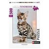 Image de Puzzle 500 pièces Chaton Bengal