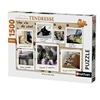 Image de Puzzle 1500 pièces Une vie de chat