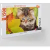 Image de [EXCLU WEB] Puzzle Chaton en automne