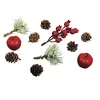Image de Décorations naturelles automne et Noël - 11 Cônes, pommes et baies