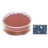 Image de Rocailles 2mm avec garniture argent - Bleu foncé