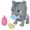 Image de Chouchouter le chat Petz