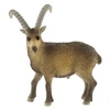 Image de Figurine Bouquetin