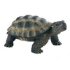 Image de Figurine Tortue de terre : Deluxe