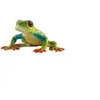 Image de Figurine rainette aux yeux rouges