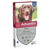 Image de 4 pipettes antiparasitaires - Pour grand chien de plus de 25kg