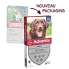 Image de Pipettes antiparasitaires Grand Chien 25-40 kg 6 x 4 ml