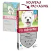 Image de pour petit Chien - 4 - 10kg