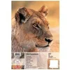 Image de Herlitz - 1x bloc de dessin, format a3, 100 g m2, 25 feuilles 10416634