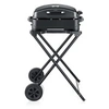 Image de pg8598