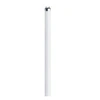 Image de Tube fluorescent G5 8 W blanc froid forme de tube 1 pc(s)