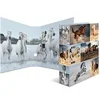 Image de Classeur à levier à motifs 'Animals', A4, chevaux