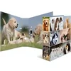 Image de Classeur à levier à motifs 'Animals', A4, chiens