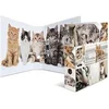 Image de Classeur à levier à motifs 'Animals', A4, chats