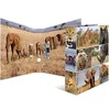 Image de Classeur à levier 'Animals', A4, animaux d'Afrique