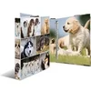 Image de Classeur à anneaux 'chiens', A4, mécanisme à 4 anneaux