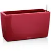 Image de Lechuza   Pot de Fleurs d'Interieur   Premium Cararo   Réserve d'Eau Intégrée   Coloris Rouge Scarlet   75 x 30 x 43 cm en occasion ou reconditionné