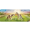 Image de Country 71000 2 poneys islandais et poulains